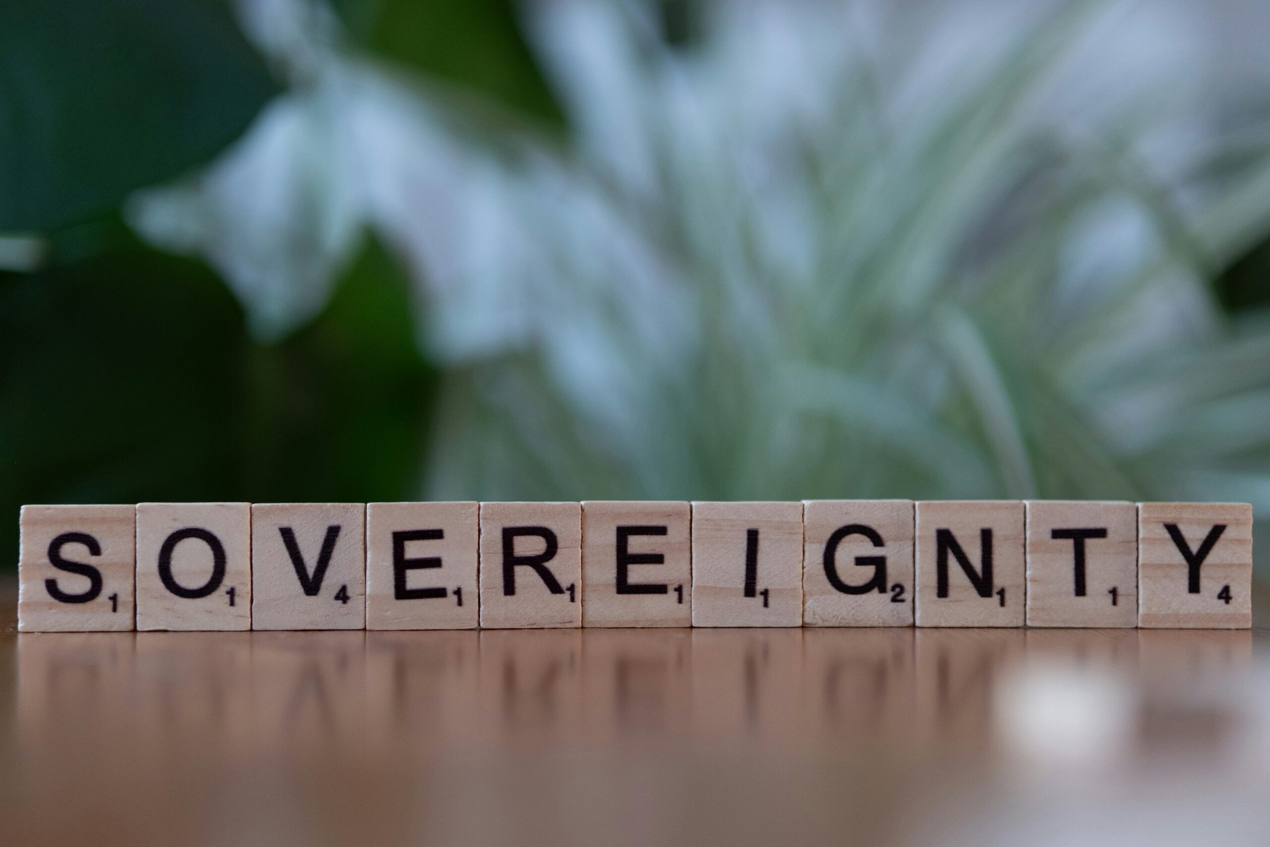 Sovereignty Protocol Visual